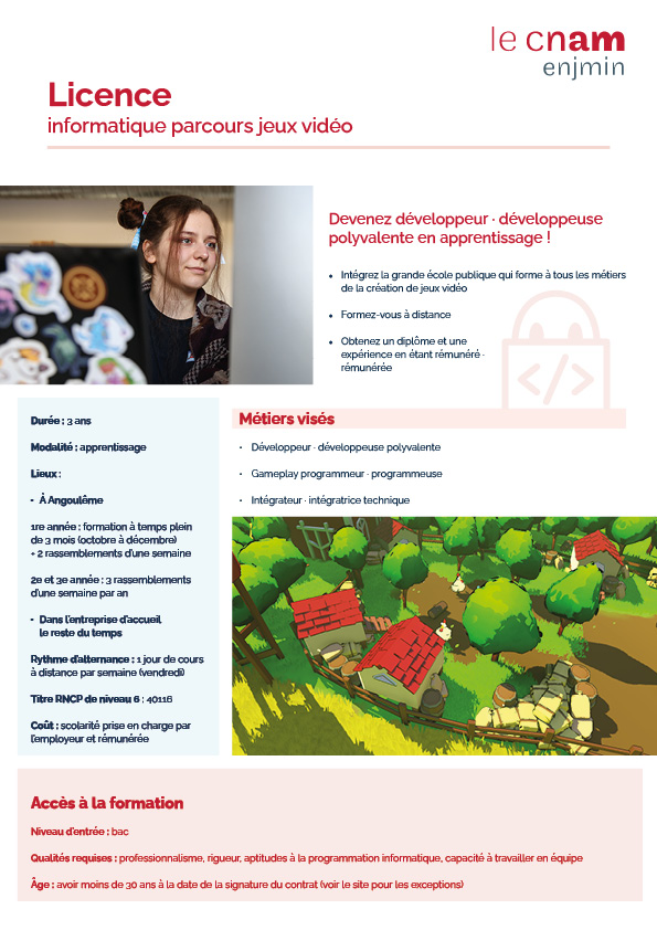 Licence informatique jeu vidéo